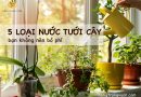 5 loai nuoc tuoi cay